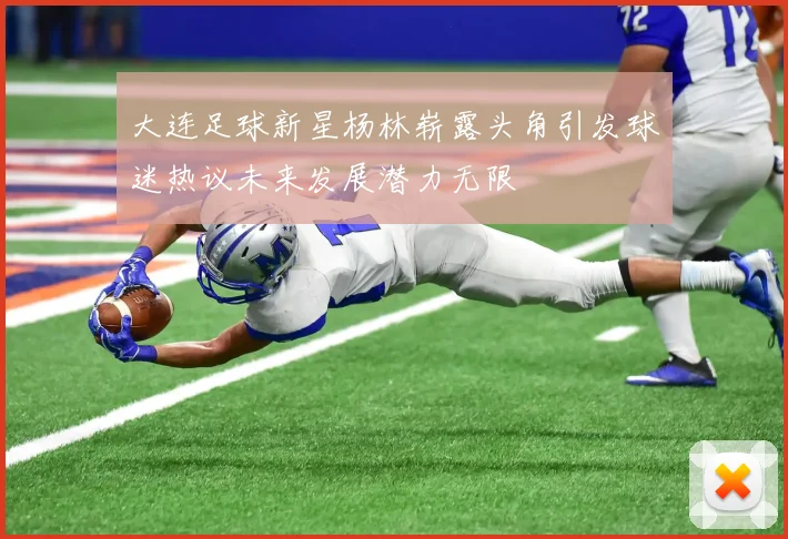 大连足球新星杨林崭露头角引发球迷热议未来发展潜力无限