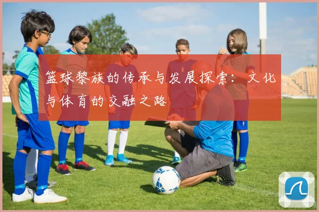 篮球黎族的传承与发展探索：文化与体育的交融之路