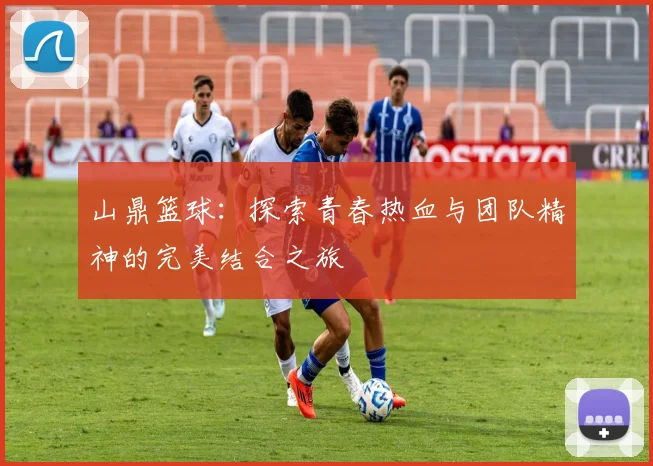 山鼎篮球：探索青春热血与团队精神的完美结合之旅