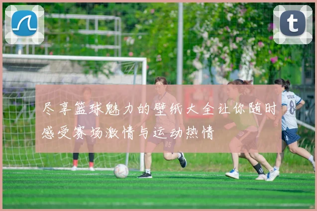 尽享篮球魅力的壁纸大全让你随时感受赛场激情与运动热情